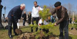 Высадка даурской лиственницы Валерий Спидлен