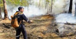 Пожары в Якутии yakutia24.ru