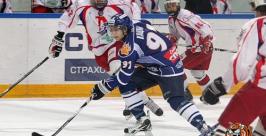 игра www.amur-tigers.ru
