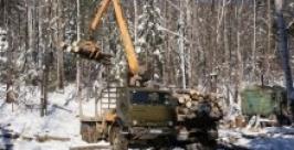 нет УМВД России по Хабаровскому краю