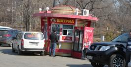 Мэру Хабаровска пришлась не по вкусу шаурма на прудах Михаил Малышев, РИА AmurMedia