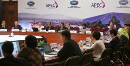Седьмая встреча АТЭС http://foto.apec2012.ru/sites/default/files/styles/photo_preview/public/media/photo/201229/1186081.jpg
