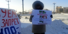Протест &quotзакону подлецов&quot выразили хабаровчане на Комсомольской площади Анна Незнанова