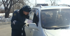 Проверка документов. Пост &quotВоронеж-1&quot Анастасия Афанасенко