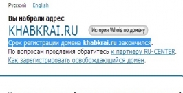 скрин интернет-страницы из архива ИА AmurMedia