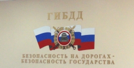 ГИБДД Анастасия Афанасенко
