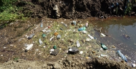 Мусор с водой. Все это может оказаться в огородах и дворах Роман Федоров