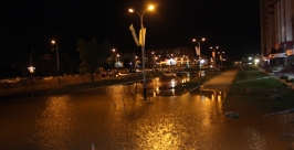 Улица Юнгов Анна Незнанова
