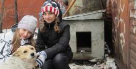 Новость о хабаровской Хатико вдохновила детей на добрые поступки наркорр. Сергей Киселев
