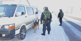 Полицейские Хабаровска проводят мероприятия антитеррористической направленности Пресс-служба УМВД России по Хабаровскому краю