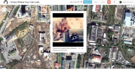 Коты Сайт iknowwhereyourcatlives.com