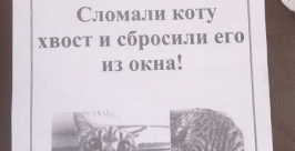 Пострадавшая кошка Екатерина Громова