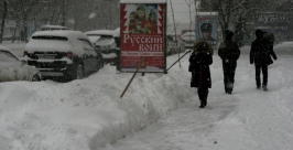 Снегопад Александра Мельник