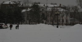 Снегопад Александра Мельник