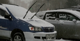 Снегопад Александра Мельник