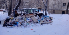 Погрязнуть в мусоре могут жители  одной из центральных улиц Хабаровска Елена Проколова