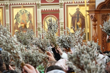 Православные хабаровчане отметили вербное воскресенье Информационный отдел хабаровской епархии