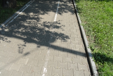 Велодорожка в Хабаровске за 180 тысяч рублей, кажется, &quotприказала долго жить&quot  Роман Сиин