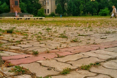 Трава проросла еще на одной площади в Хабаровске Ольга Григорьева