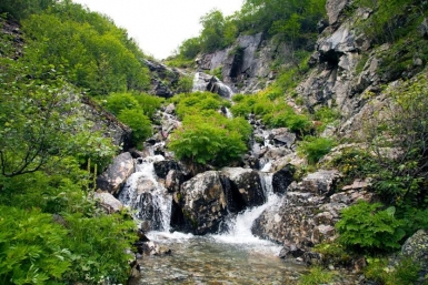 Фотовыставку о природе в Хабаровском крае пришлось открывать дважды  Пресс-служба заповедника &quotКомсомольский&quot