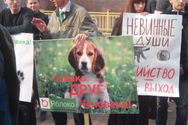 &quotЯблоко&quot: В отчете Шпорта хотим услышать, кто ответит за деньги, потраченные на эвтаназию соцсети