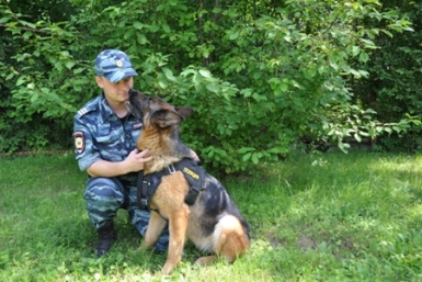 Напарники: кинолог со служебно-розыскной собакой Аксельбруннен Тасмания  Пресс-служба УМВД России по Хабаровскому краю