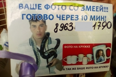 Купить краснокнижную ядовитую гадюку в Хабаровске теперь не составляет труда Корр. ИА AmurMedia