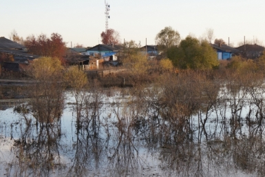 Живность и урожай погибли у жителей улицы Аэродромной Хабаровска во время ливня Баграновская Наталья, EAOmedia